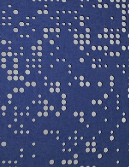 BRAILLE hanging divider