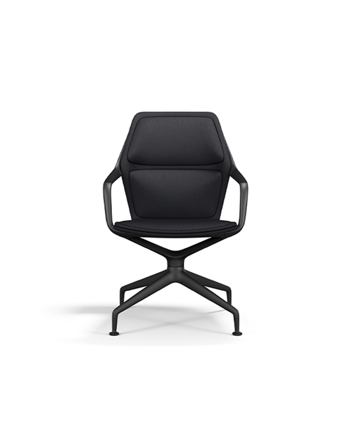 Ray Conference Chair