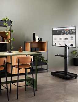 STEVE media presenter