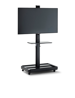 STEVE media presenter