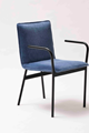 ZEN87 Alter Dining Chair Landscape 2